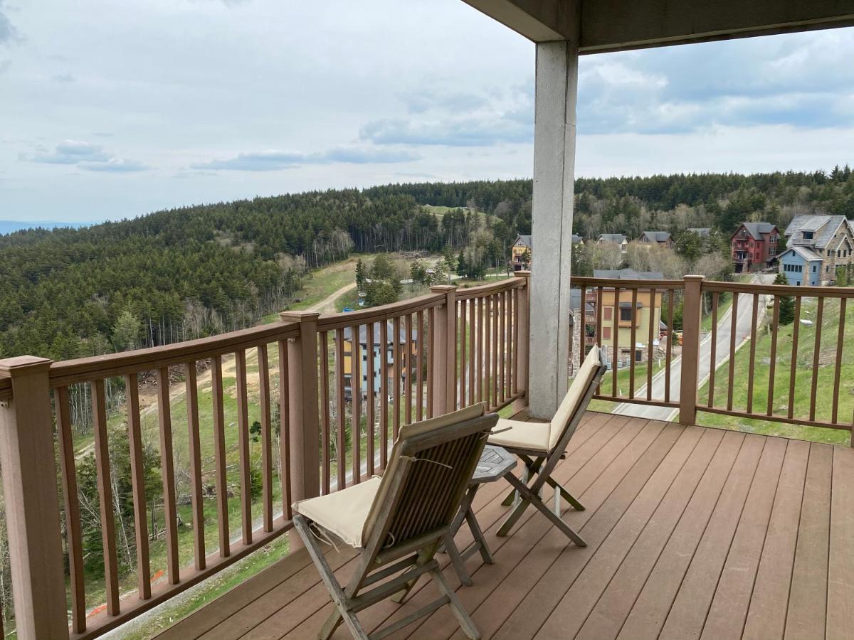 Remodeled Ski In-Out - 305 Soaring Eagle - Luxury! Dunmore Luaran gambar